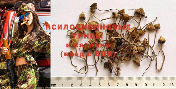 синтетический гашиш Елабуга
