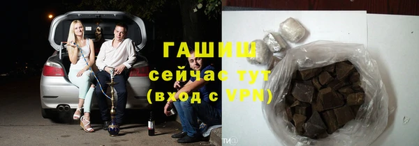 PSILOCYBIN Ельня