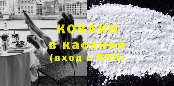 PSILOCYBIN Ельня