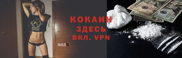 крисы Чердынь