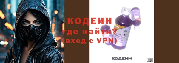 PSILOCYBIN Ельня
