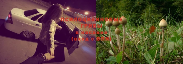 синтетический гашиш Елабуга