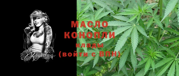 PSILOCYBIN Ельня