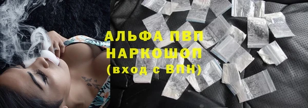 PSILOCYBIN Ельня