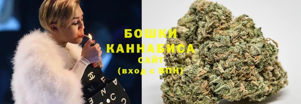 PSILOCYBIN Ельня