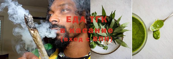 PSILOCYBIN Ельня
